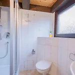 Ferienwohnpark Nurdachhaus Typ 8 Ndt 117 * Immenstaad am Bodensee